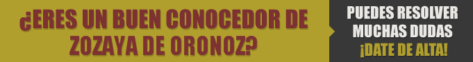 Restaurantes en Zozaya de Oronoz